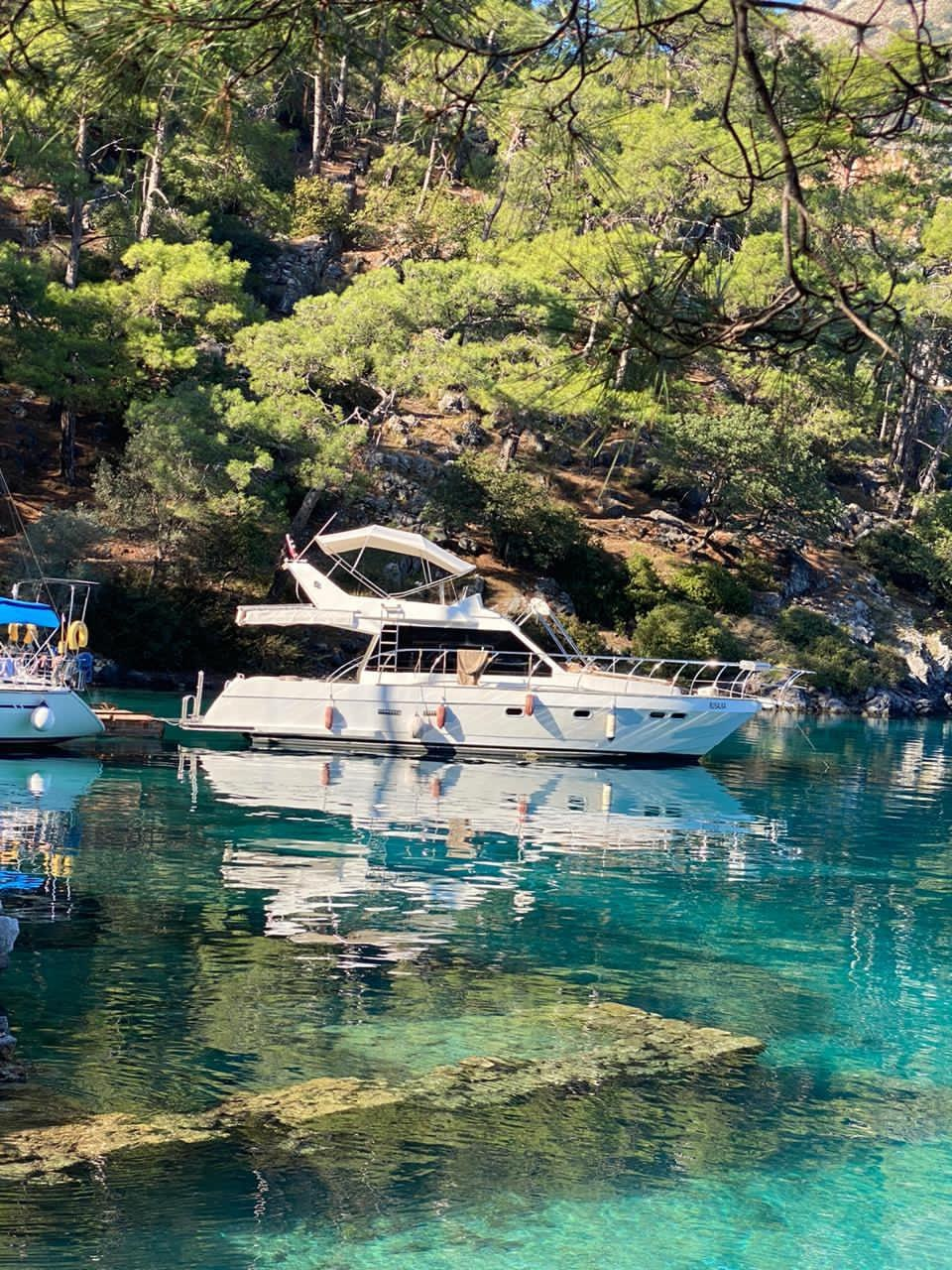 Motor yacht Modern 45 ft — photo 1